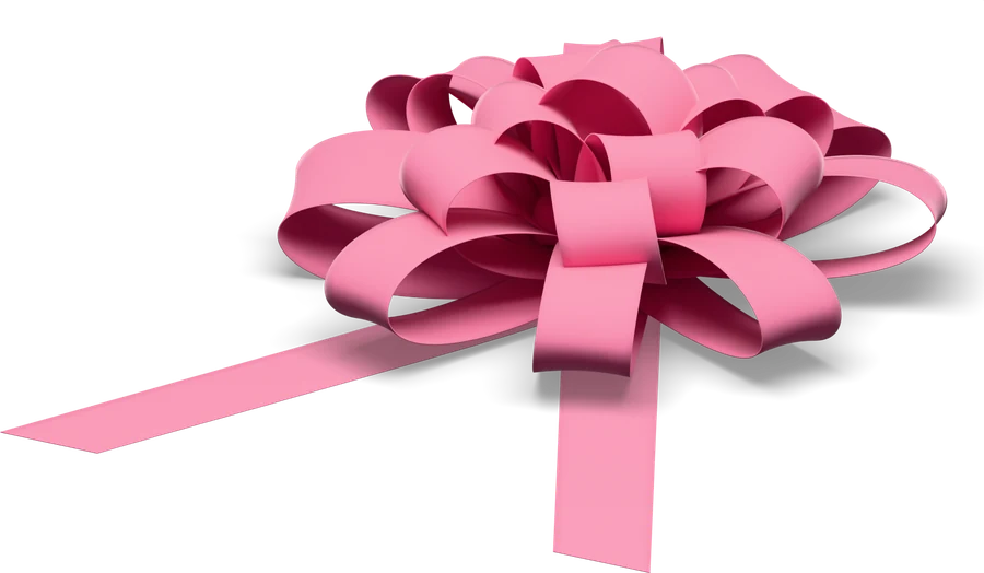 The pink velvet bow