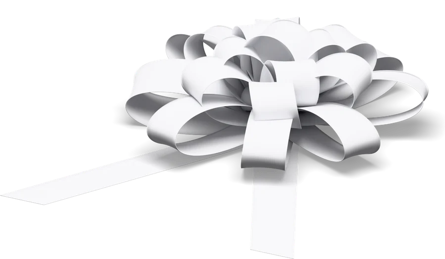 The white velvet bow