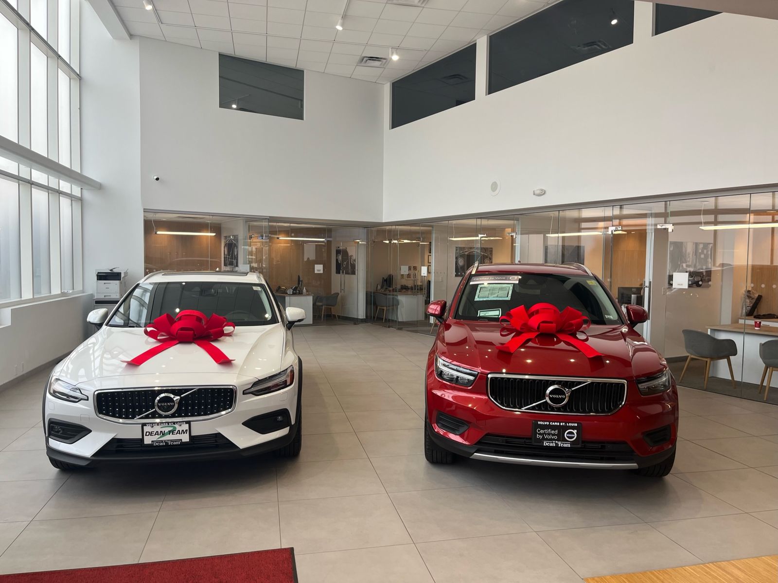 Velvet bows on showroom cars